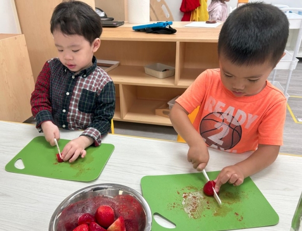 Support exploration &amp; independence